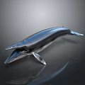 Blue Whale Model With Open Mouth Shiny Metallic Surface On Black Background And Reflection 3d model