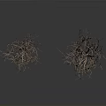 Two Clumps of Natural Leafless Dry Branches Plant on White Background