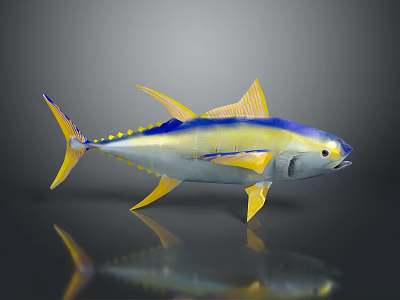 Vibrant Yellow And Blue Aquatic Fish With Colorful Fins On Reflective Surface 3d model
