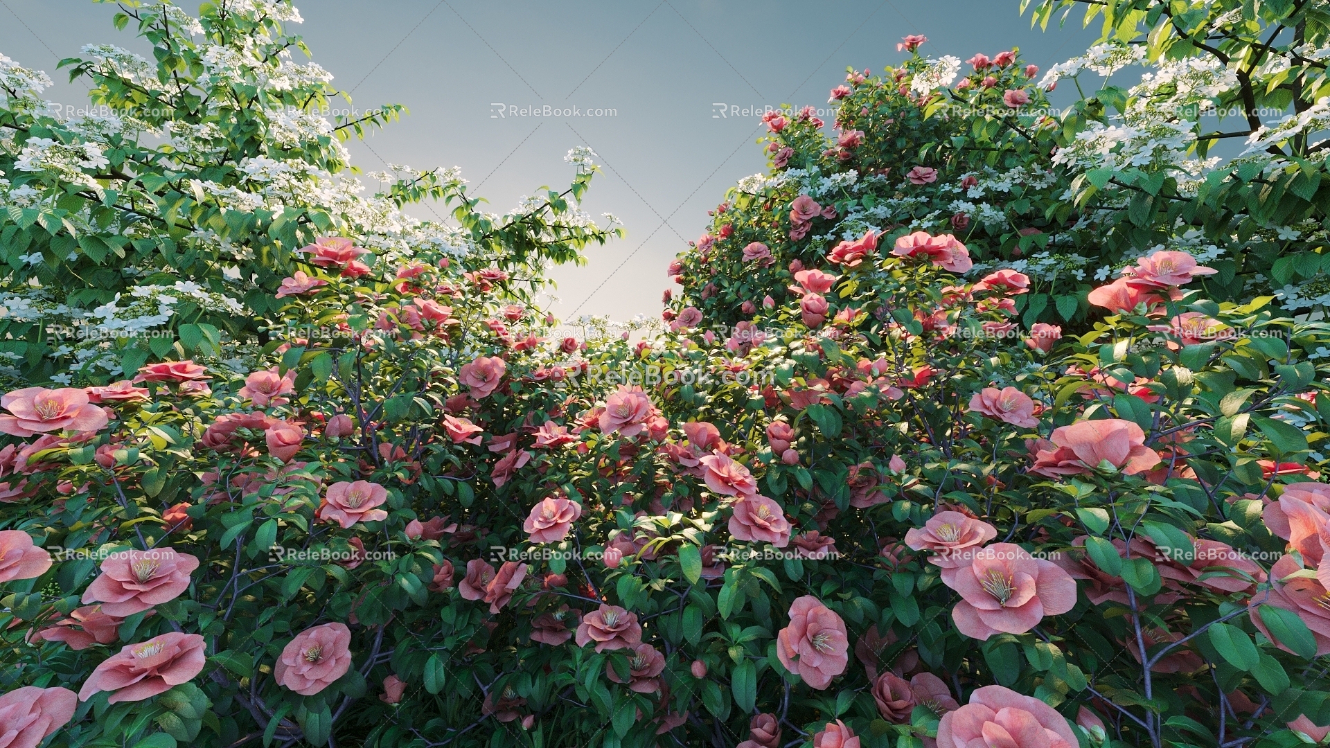 Flowers and Plants Combination Landscape Shrubs Shrubs Plant Combination Natural Landscape Roses 3d model