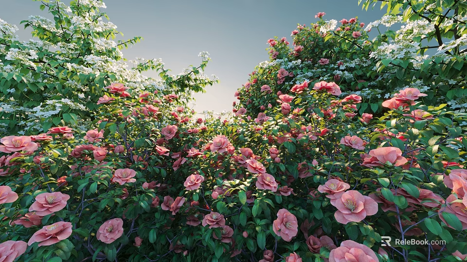 Blooming Shrubs With Pink Flowers And Lush Green Leaves In Outdoor Garden 3d model 