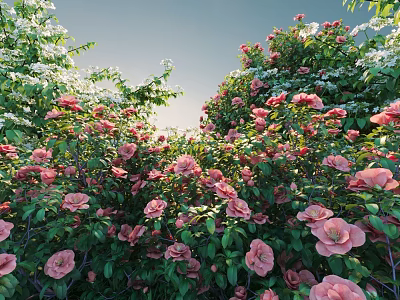 Blooming Shrubs With Pink Flowers And Lush Green Leaves In Outdoor Garden 3d model