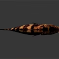 Detailed Fish With Black And Brown Stripes Open Mouth On Gray Background With Reflection