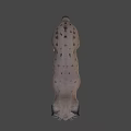 Realistic 3D Model of Lynx With Spotted Fur and Pointed Ears Standing