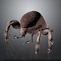 Pink Mite With White Spots And Multiple Legs 3D Rendered On Dark Background 3d model