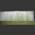 Green Grass White Dandelions on Round Green Pink Patterned Platform with Small Flowers 3d model