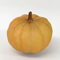Fresh Ripe Yellow Round Pumpkin with Smooth Skin as Healthy Vegetable