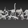 Various Dinosaur Skeleton Models With Different Prehistoric Species Displayed 3d model