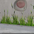 Green Grass Potted In Rectangular Concrete Planter With Modern Wall Decor 3d model