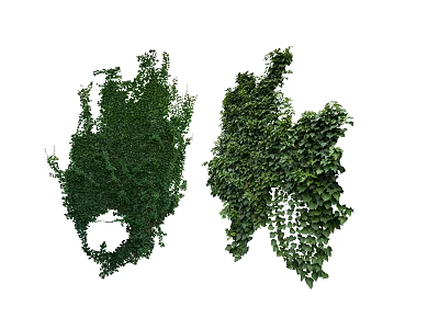 green plant vine 3d model