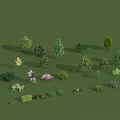 Various Types of Trees with Different Heights Shapes and Colors Including Shrubs and Flowers