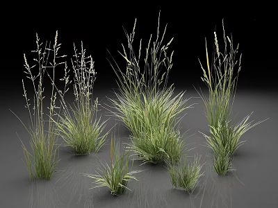 Various Green Grass Plants in 3D Rendering with Natural Growth Features 3d model