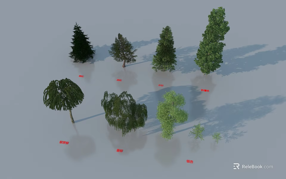 Various Types of Trees with Different Shapes Displayed in a Collection with Shadows 3d model 