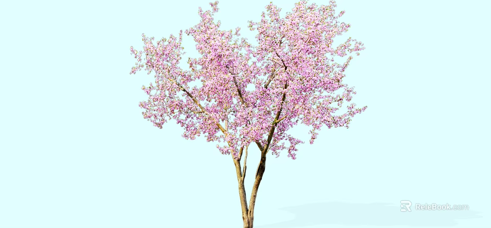 Beautiful Tree With Pink Blossoms And Twin Trunks Against Light Blue Sky 3d model 