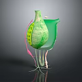 Anatomical Organ Structure With Hair Like Fibers And Green Pink Features