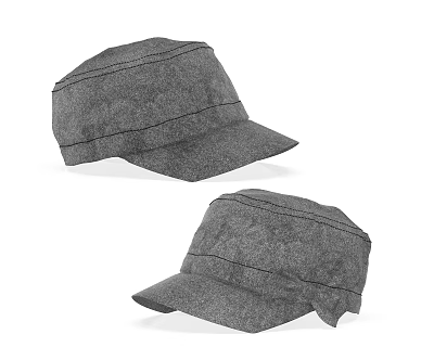 Stylish Gray Casual Hats with Flat Brim and Comfortable Classic Design 3d model