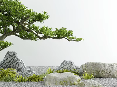 Courtyard Garden With Green Tree Rocks Small Plants And Gravel Ground 3d model