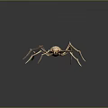 3D Spider Model With Textured Body Long Slender Legs And Red Lines On Dark Background