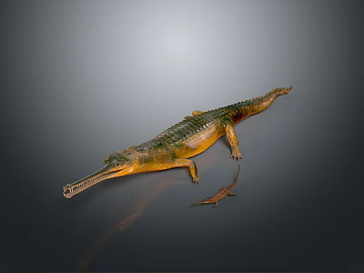 Long Snouted Reptile with Green Yellow Scales on Gray Background Showing Reflection and Smaller Counterpart 3d model