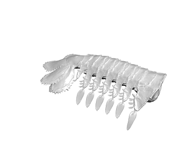Transparent Plastic Clips With Multiple Pieces In A Row Each Having Clip And Spoon 3d model