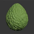 Green Textured Biological Fruit With Detailed Surface Structure And Organic Shape