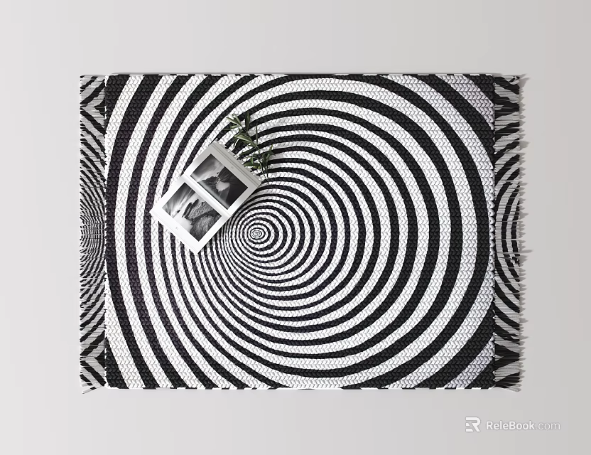 Square Rug With Black And White Spiral Pattern Photo Frame And Small Plant 3d model 