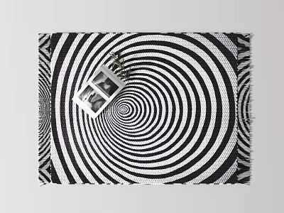 Square Rug With Black And White Spiral Pattern Photo Frame And Small Plant 3d model