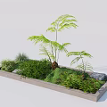 Natural Garden Landscape Design With Rectangular Concrete Planter Green Plants Ferns Low Shrubs And Stones