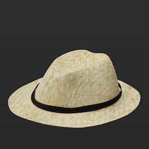 Hat Straw Hat 3d model