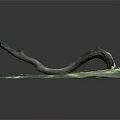 Natural Curved Wood Branch Decorative Ornament On Green Gray Stone Base
