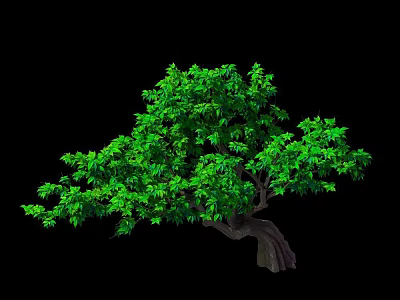 Vibrant Green Tree With Lush Foliage And Curved Trunk On Black Background 3d model