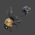 Bumblebee With Yellow Thorax And Colorful Rubik's Cube