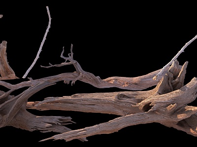 stump wood dead branches model