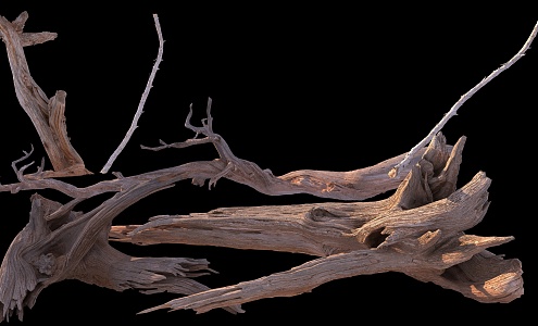 stump wood dead branches 3d model