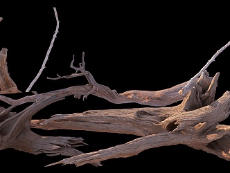 stump wood dead branches 3d model