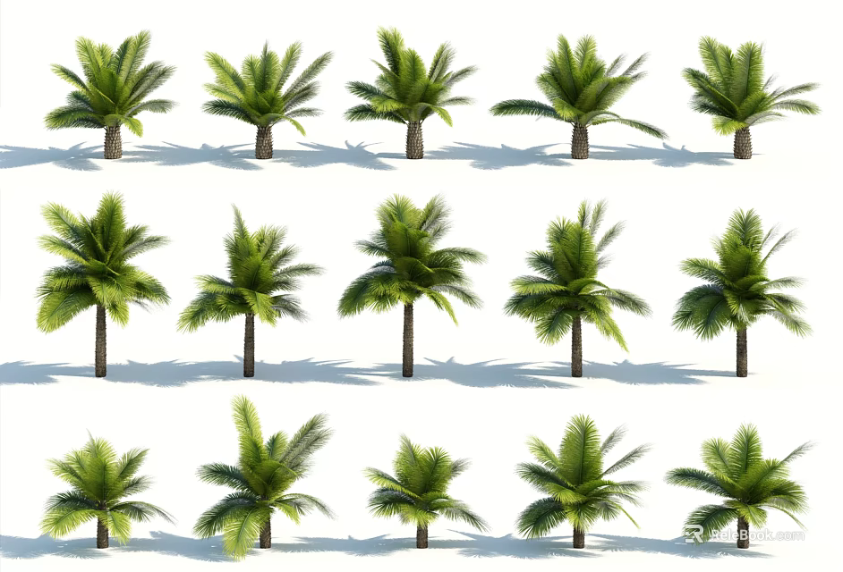 Various Palm Trees With Lush Green Fronds And Tall Trunks Arranged In Rows 3d model 