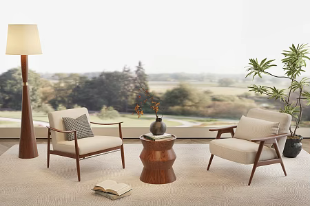 Leisure sofa coffee table carpet floor lamp potted leisure chair 3d model