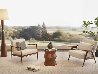 Leisure sofa coffee table carpet floor lamp potted leisure chair 3d model
