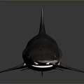 Realistic Detailed Brown Spotted Shark with Fins and Tail on Gray Background