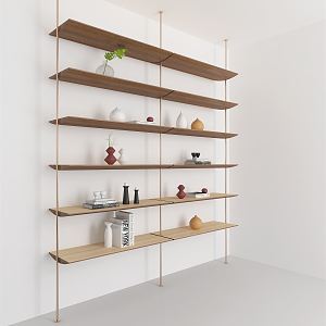 Modern Bookshelf 3d model