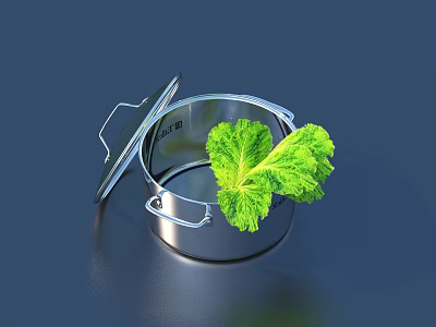 Stainless Steel Cooking Pot With Open Lid And Fresh Green Lettuce 3d model