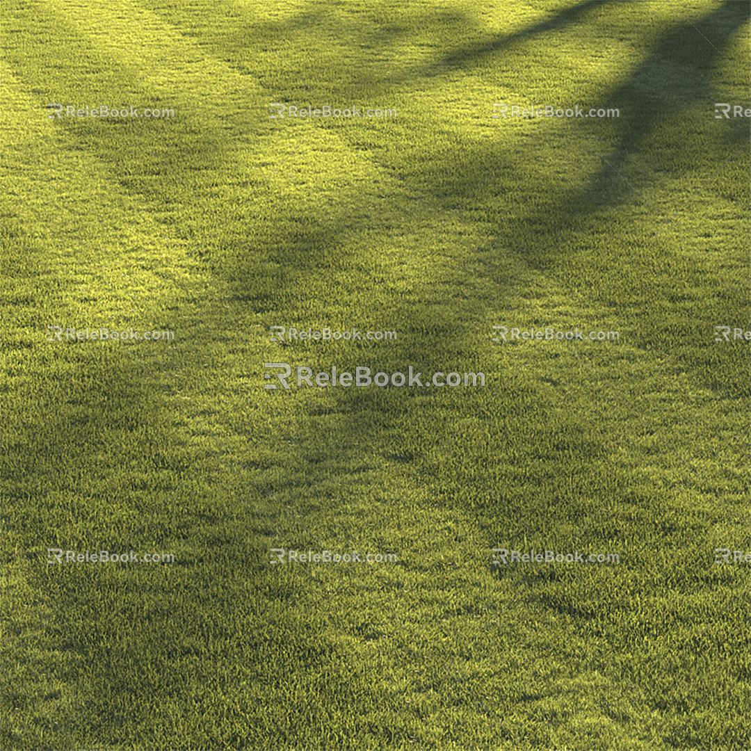 Modern Lawn Lawn Grass 3d model