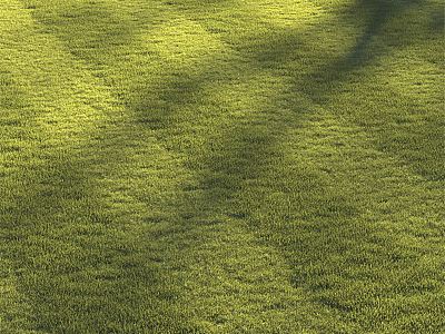 Modern Lawn Grass 3d model