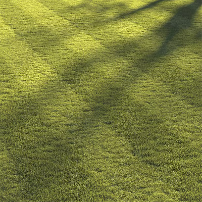 Lush Green Grass Field Basked In Warm Sunlight With Tree Shadows 3d model