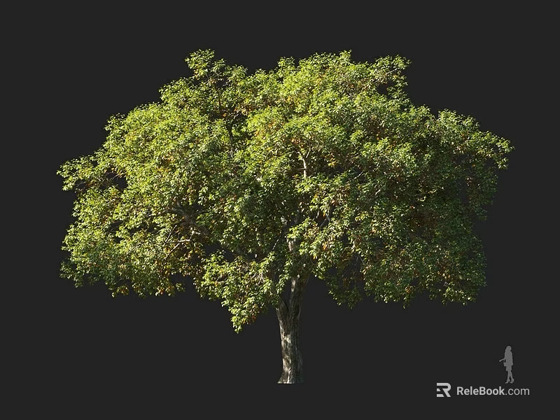 Lush Green Arbor With Dense Foliage And Human Figure For Scale Reference 3d model