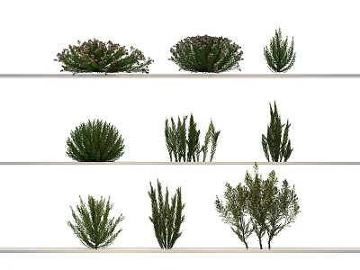 Various Green Decorative Plants Arranged on White Shelves for Home Decoration 3d model