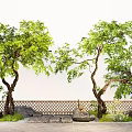 Courtyard Landscape Landscaping Trees Oblique Floating Trees Street Trees Stone Micro Terrain 3d model
