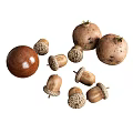 Organic Acorns and Round Potatoes as Fresh Natural Food Ingredients
