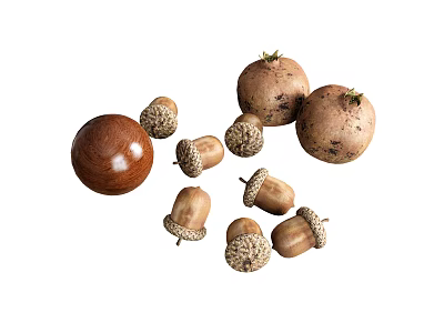 Organic Acorns and Round Potatoes as Fresh Natural Food Ingredients 3d model