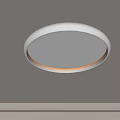 Round White Modern Ceiling Light With Warm LED Ring And Minimalist Design 3d model